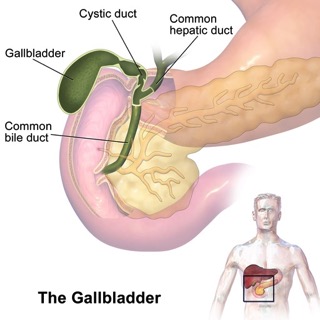 Gallbladder - charlotte diabetes treatment