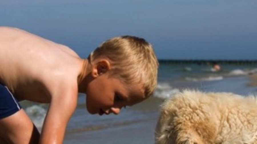 Child With Dog - charlotte autoimmune disorder treatment