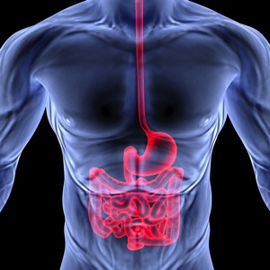Digestive Tract - charlotte crohn's disease treatment