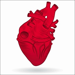 Heart - inflammation treatment in charlotte