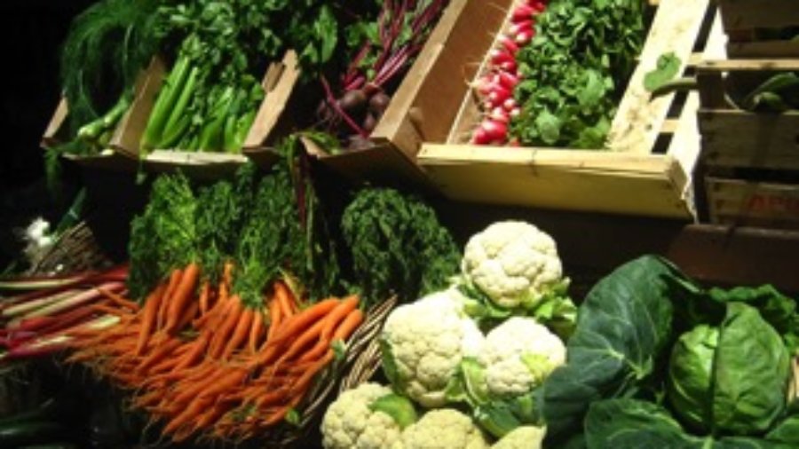 Vegetables - diabetes treatment in charlotte