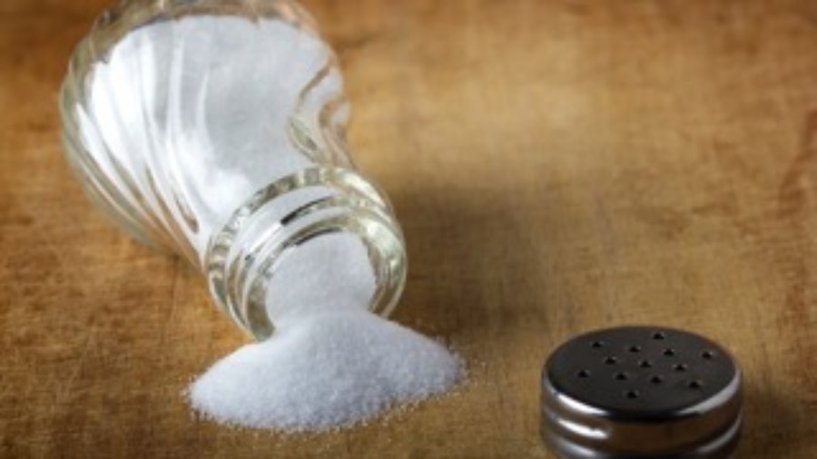 Salt - food sensitivity testing in charlotte