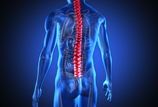 Man's Spine - hormone imbalance treatment in charlotte